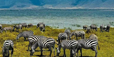 5 days family-friendly tanzania safari - Photo 3