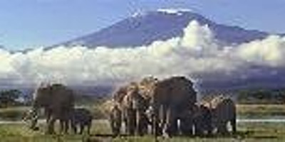 6 days masai mara, lake nakuru & amboseli national park - Photo 2