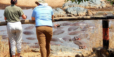 3 days tanzania camping safari arusha,tarangire & ngorongoro - Photo 8
