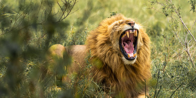 5-day tanzania camping safari - Photo 3
