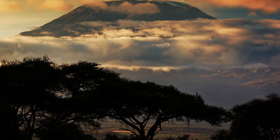 7 days kilimanjaro hiking - via umbwe route with burigi chato safari co l.t.d - Photo 5