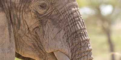 4 days tanzania budget camping safari - Photo 1