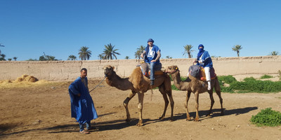 Dromadaires marrakech - Photo 2