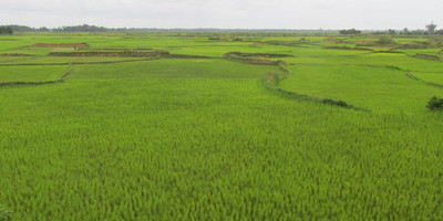 A day of cultural and ecotourism discovery in antananarivo - Photo 1