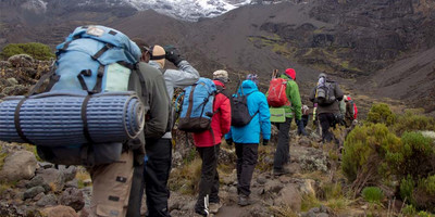 9 day lemosho route trekking - Photo 4