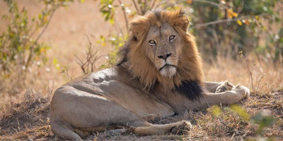  "wild wonders: 3-day masai mara adventure safari" - Photo 4
