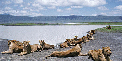 3 days tarangire national park, ngorongoro crater & lake manyara - Photo 3