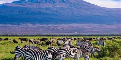 Days closer to your dreams! 4 days 3 nights samburu & olpejeta conservancy - Photo 1