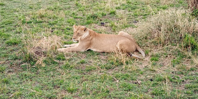 3 days budget breathtaking safari in maasai mara - Photo 5