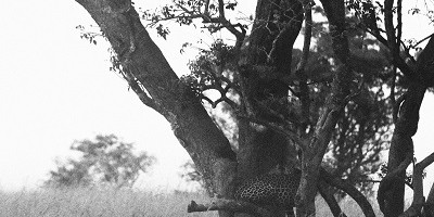 6 day murchison falls & lake mburo adventure - Photo 11