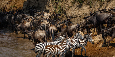 8 days kenya highlight safari - Photo 7