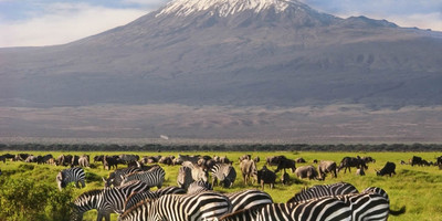 3 DAYS AMBOSELI DAILY DEPARTURES - Photo 2