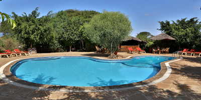 3 days amboseli, land of kilimanjaro classic safari - Photo 4