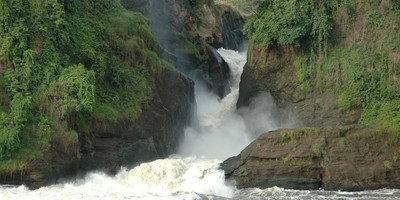 Wildlife and primates safari in uganda – 9 days. - Photo 1