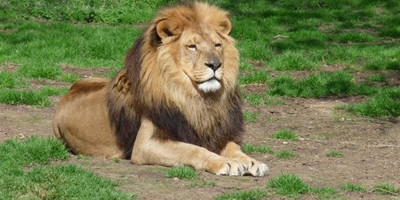 2 days tanzania budget group joining/sharing safari burigi chato safaris co ltd - Photo 4