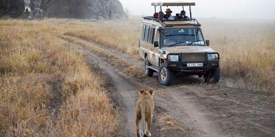 12 day tanzania cultural tourism and game drives safari - Photo 1