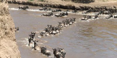 4 days mid-range safari tour - Photo 4