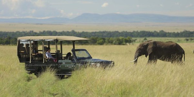 3 day flying package to amboseli national park - Photo 3