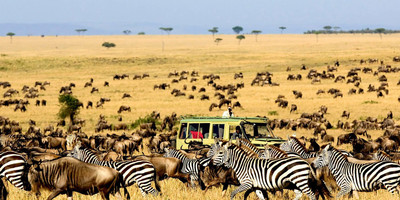 4-day masai mara-lake nakuru exploration - Photo 2