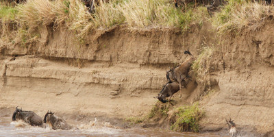 Masai Mara Camping Safari - Photo 2