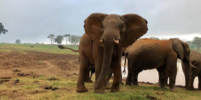 4-day amboseli, tsavo west & tsavo east safari adventure - Photo 7