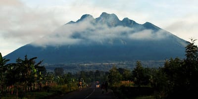 6 days best of rwanda budget safari - Photo 2