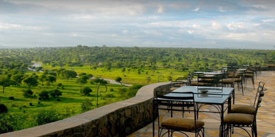 12 day tanzania southern parks safari - Photo 8