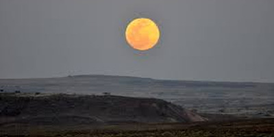 9 days kenya luxury family holiday - Photo 2