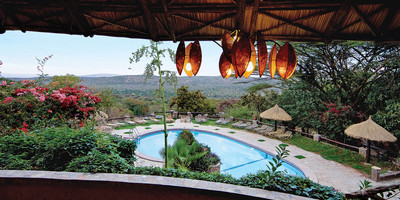 8 days incredible kenya safari experience - Photo 2