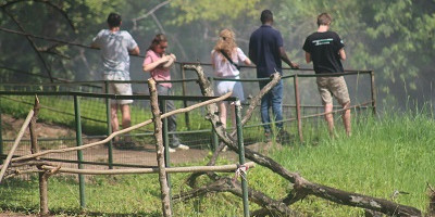 6 day murchison falls & lake mburo adventure - Photo 6