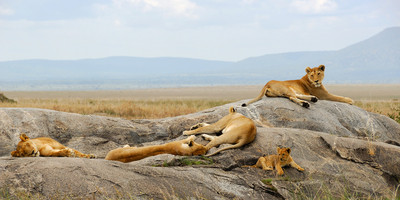 10 days east africa escapedes - Photo 2