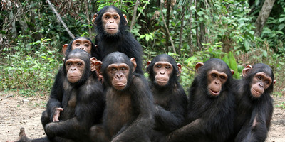 12 day tanzania southern parks safari - Photo 7