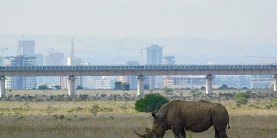 Nairobi national park, elephant orphanage, giraffe centre, bomas of kenya and karen blixen museum day tour - Photo 2