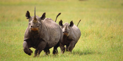 Migration & zanzibar holiday | 11 days - Photo 4