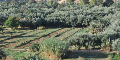 Atlas mountains hiking tour - Photo 5