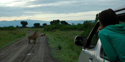 3 days queen elizabeth wildlife safari - Photo 2