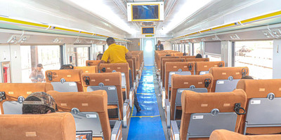 Day trip to mikumi national park by express train - Photo 1