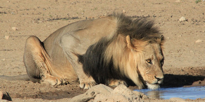 3 Days Etosha National Park Tour - Photo 8