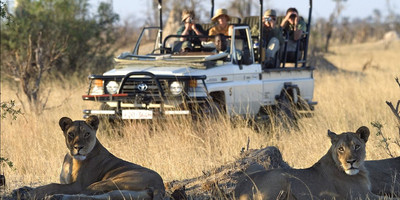12 nights – Zambia and Zimbabwe Safari (luxury) - Photo 3