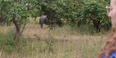 6 days breathtaking safari in murchison falls, queen elizabeth national park & kibale national park - Photo 3