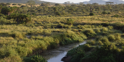 3 Days On Budget Safari - Photo 8
