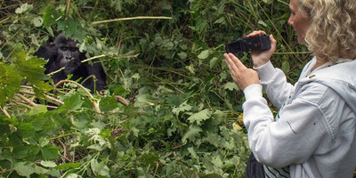 3 days wildlife and gorilla tracking safari - Photo 1