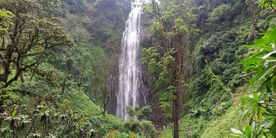 Day trip to materuni waterfall and coffee tour - Photo 4