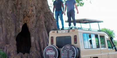 4 days tanzania luxury safari - Photo 2