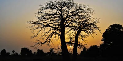 Niambodecouverte, casamance - Photo 17