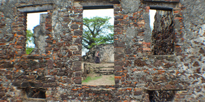 Roots - Photo 11