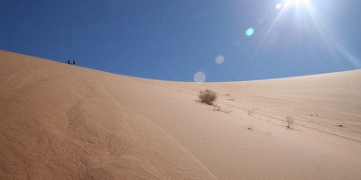 8 Days Taste of Namibia Safaris - Photo 10