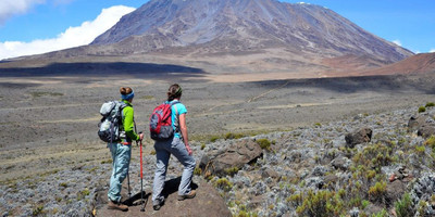 15 days mount rwenzori trekking and breathtaking wildlife safari - Photo 7