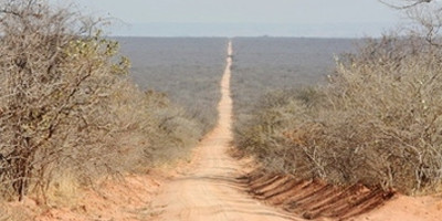 7 Day Southern Tanzania Exploration Safari - Photo 5