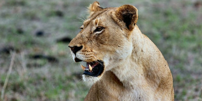 5 days flying package - Photo 4